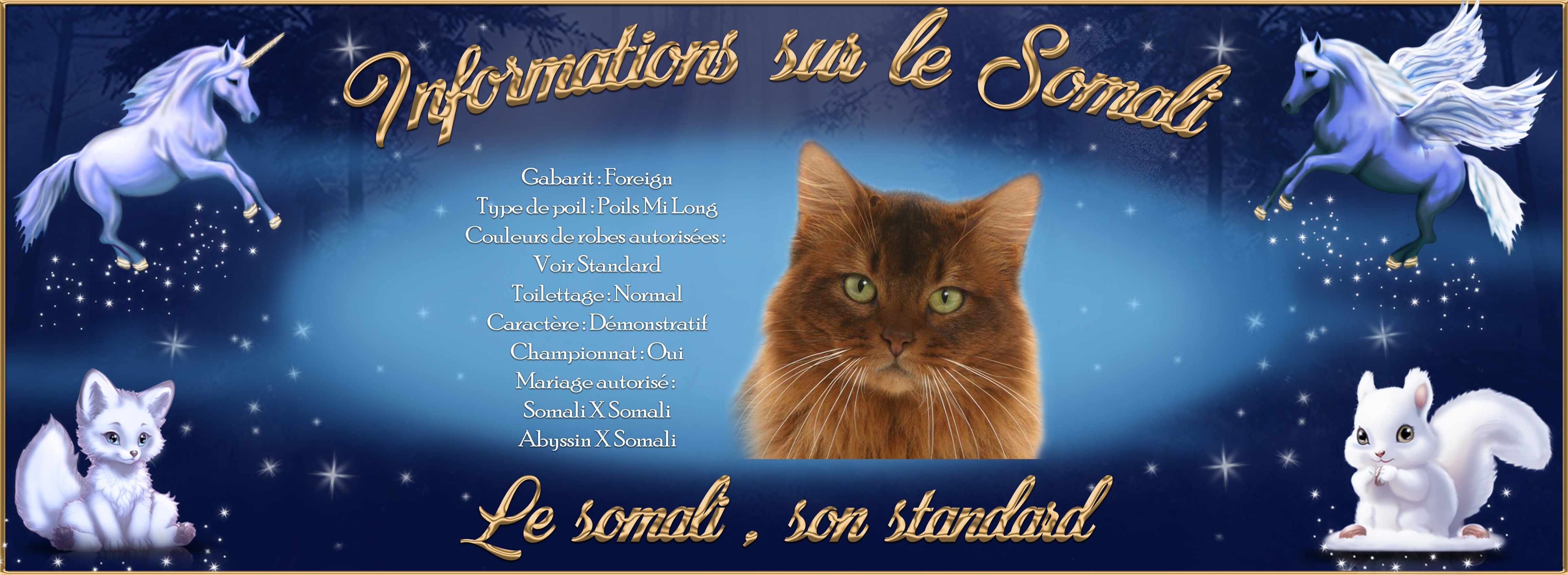 2-Le somali son standard.jpg