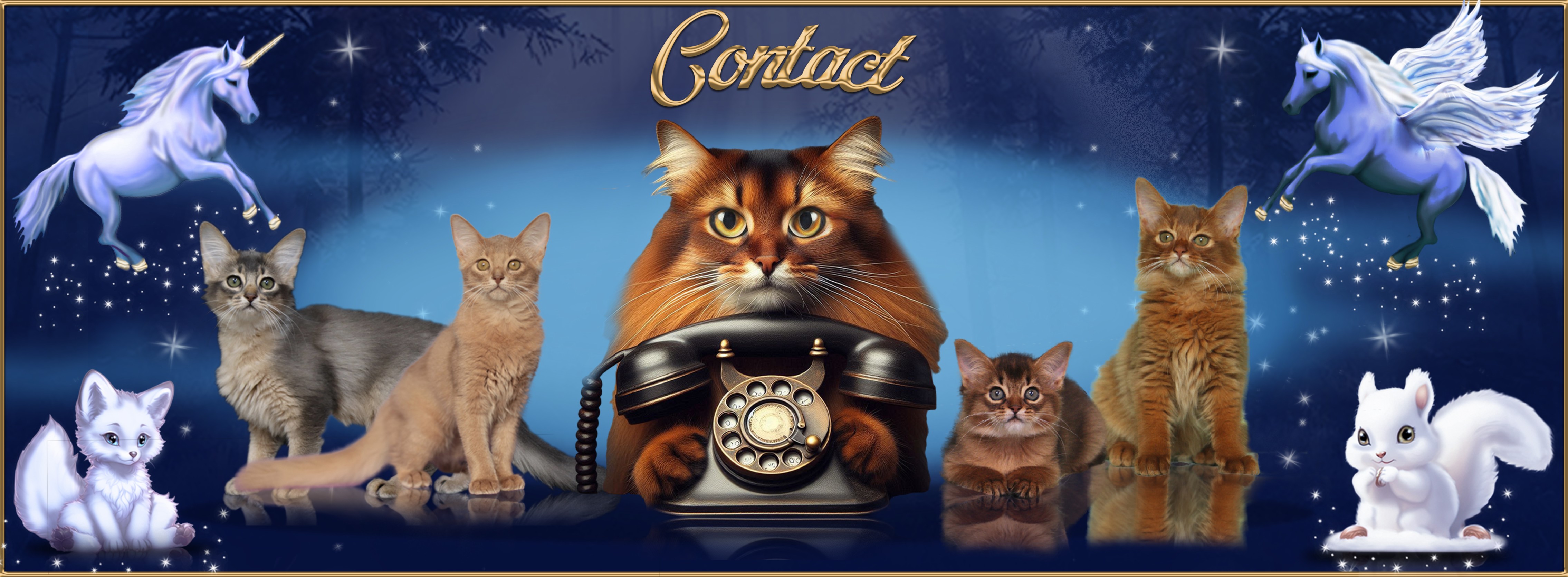 Contact.jpg