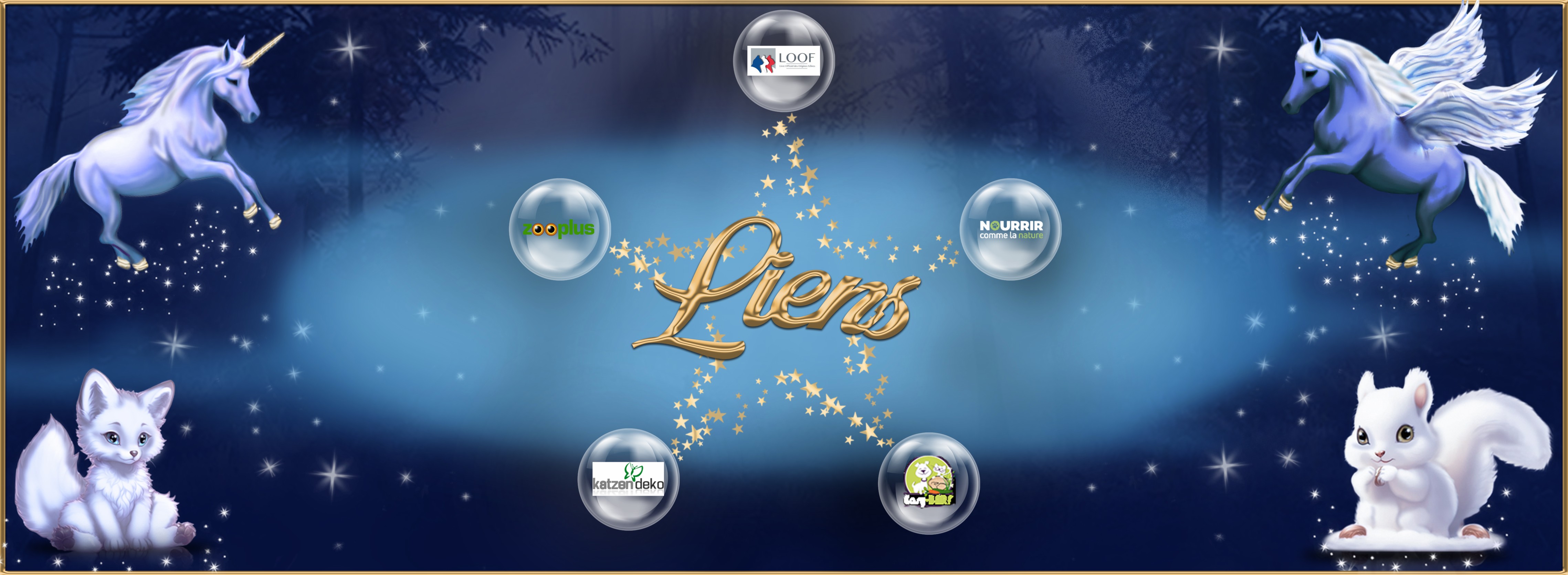 Liens.jpg