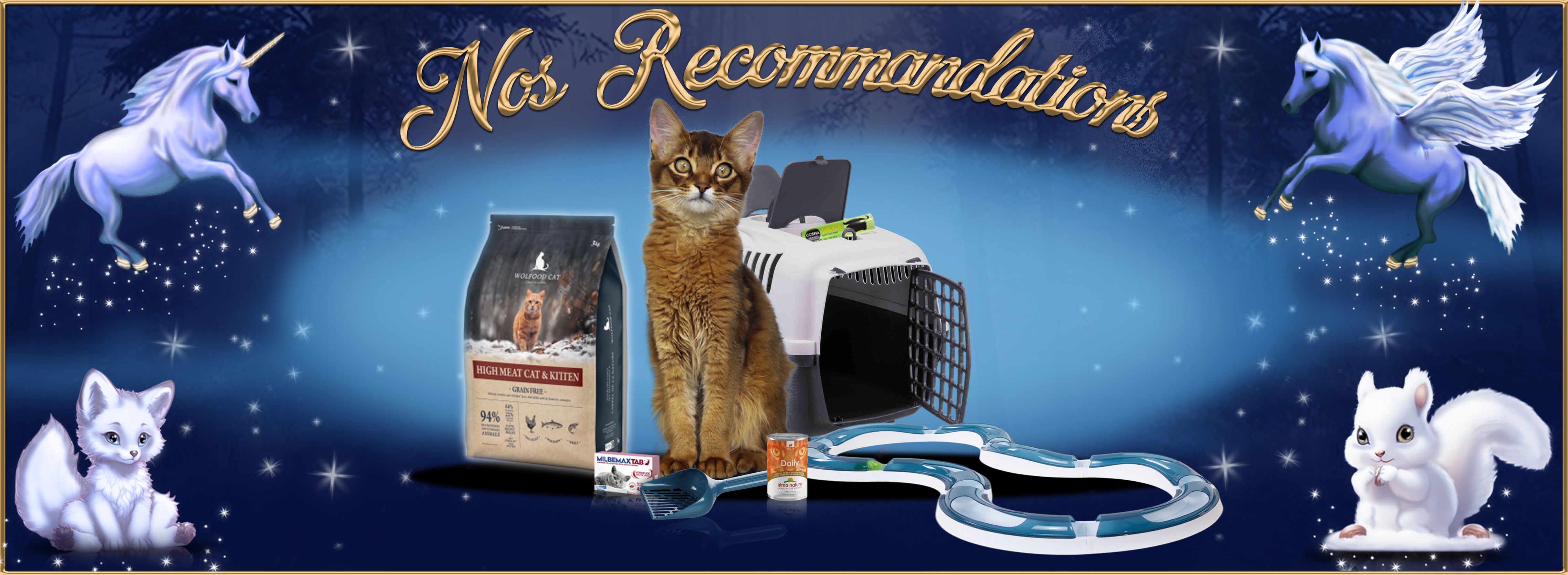 Nos Recommandations (9).jpg