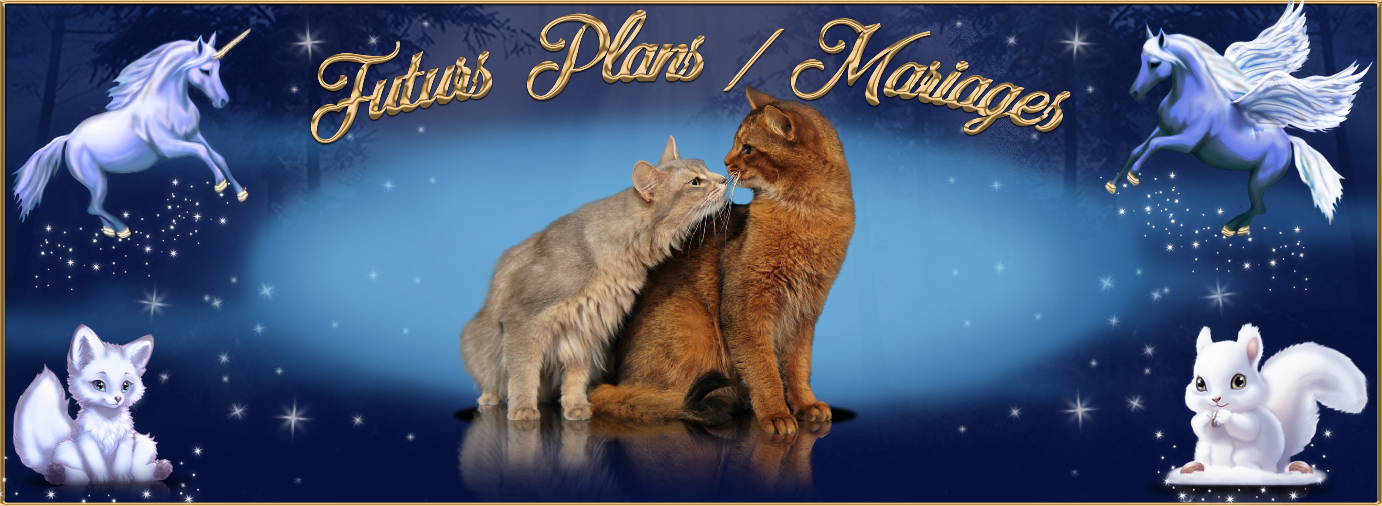 Plan Mariages.jpg