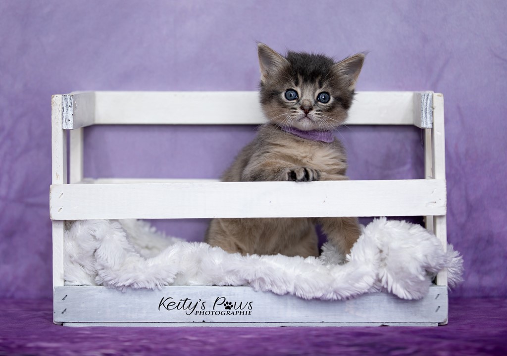 Underwater Sori  1 Mois