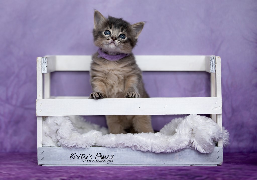 Underwater Sori  1 Mois