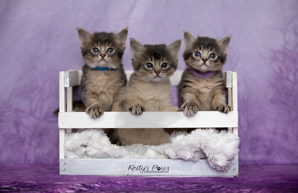 Underwater Sirius Ubi Sori 1 Mois