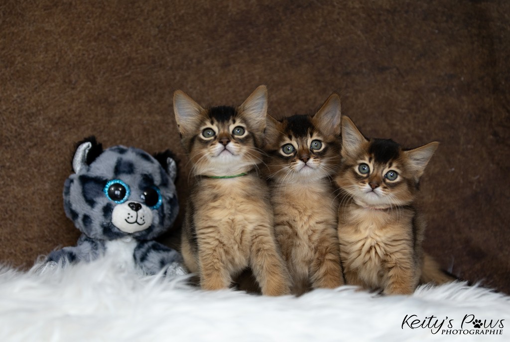 Alya Altaïs Ankãa 1 Mois