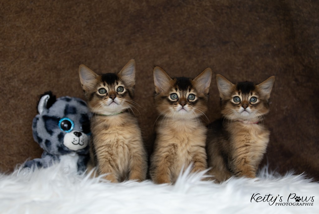 Alya Altaïs Ankãa 1 Mois