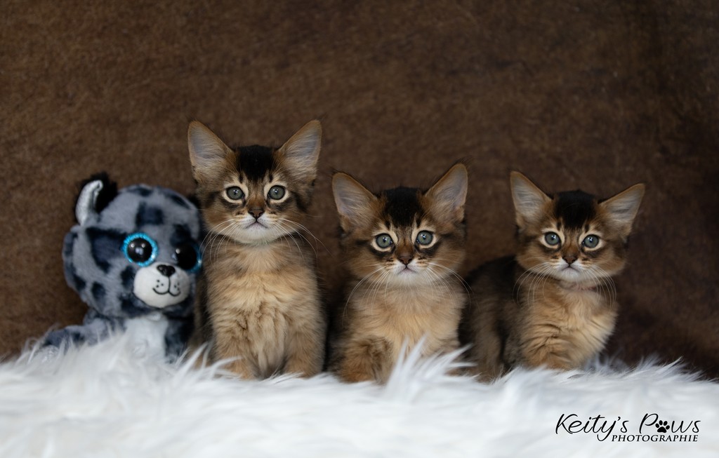 Alya Altaïs Ankãa 1 Mois