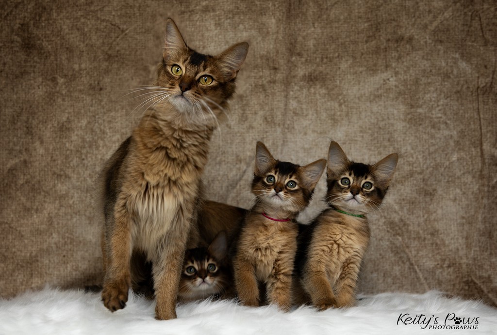 Alya Altaïs Ankãa  2 Mois