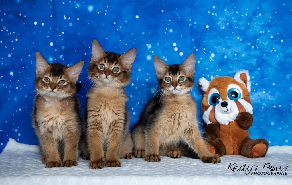 Alya Altaïs Ankãa  2 Mois