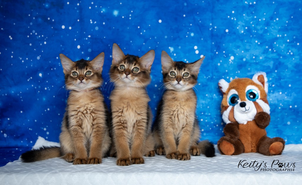 Alya Altaïs Ankãa  2 Mois