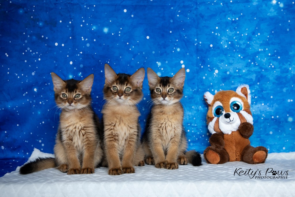 Alya Altaïs Ankãa  2 Mois