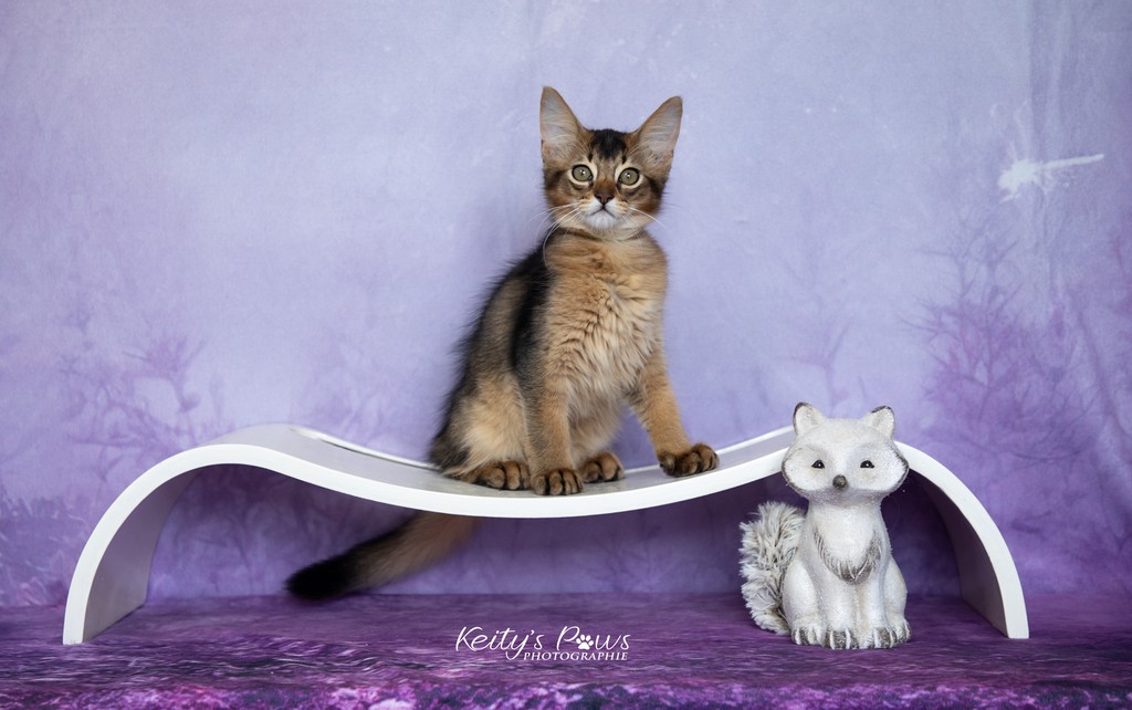  Altaïs-Wano  2 Mois