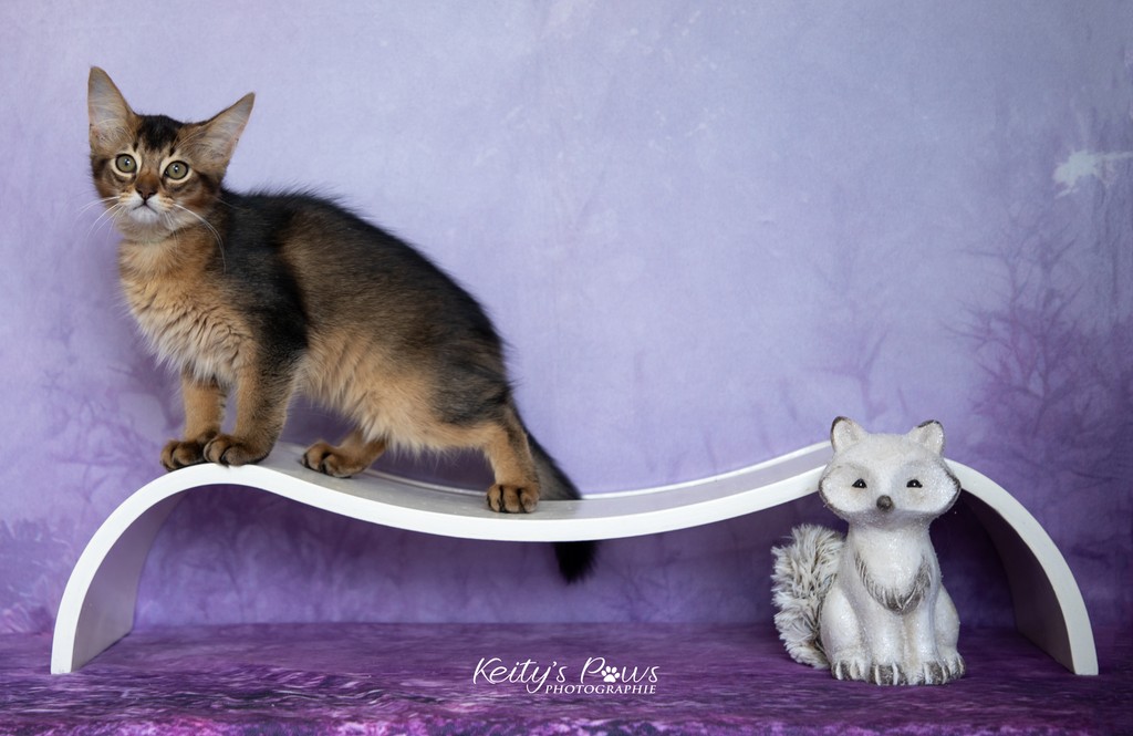  Altaïs-Wano  2 Mois