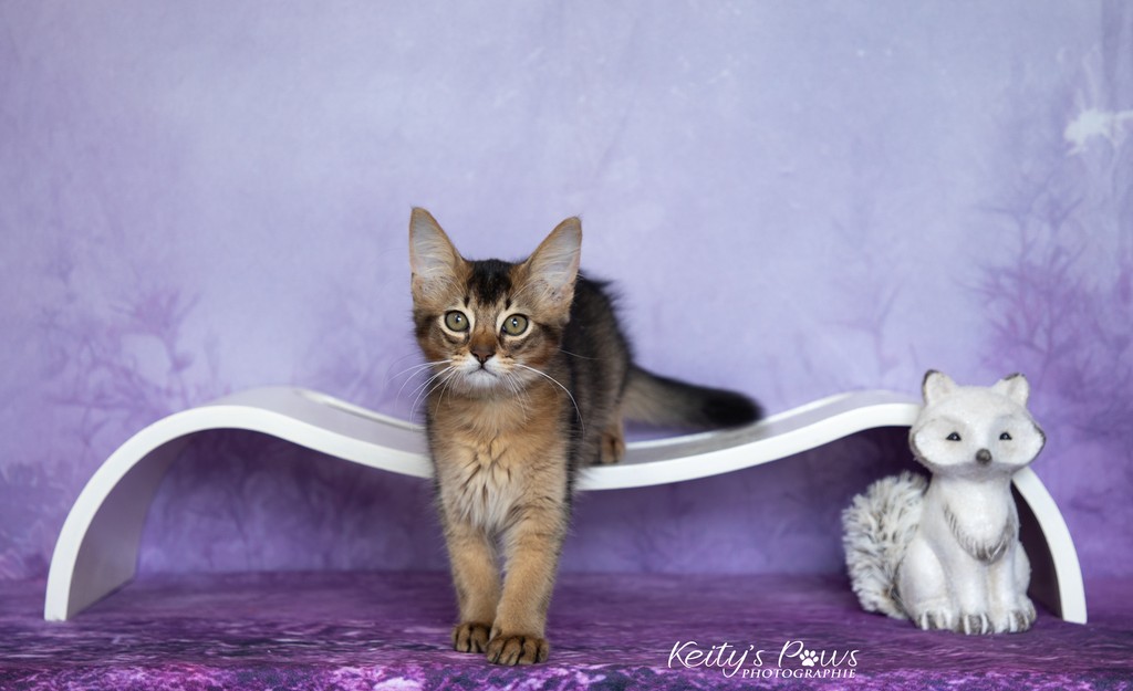  Altaïs-Wano  2 Mois