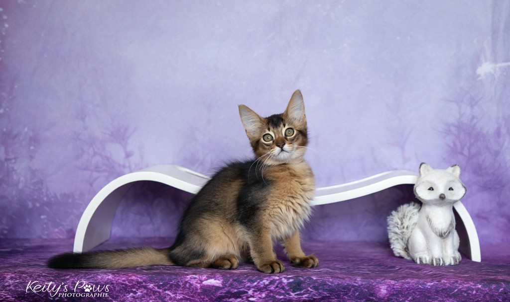  Altaïs-Wano  2 Mois