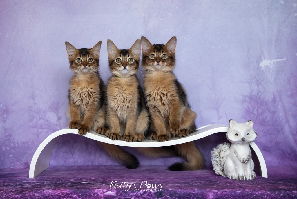 Alya Altaïs-Wano Ankãa  2 Mois