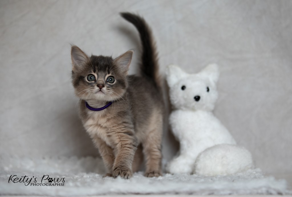 Whisper Sori  1 Mois