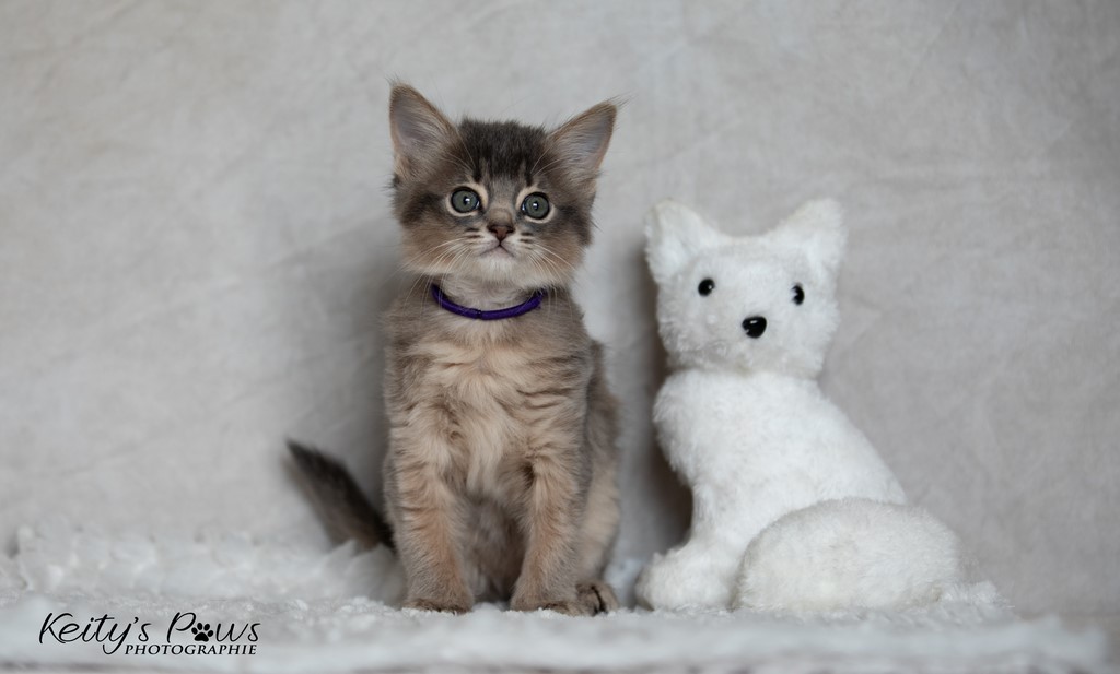 Whisper Sori  1 Mois