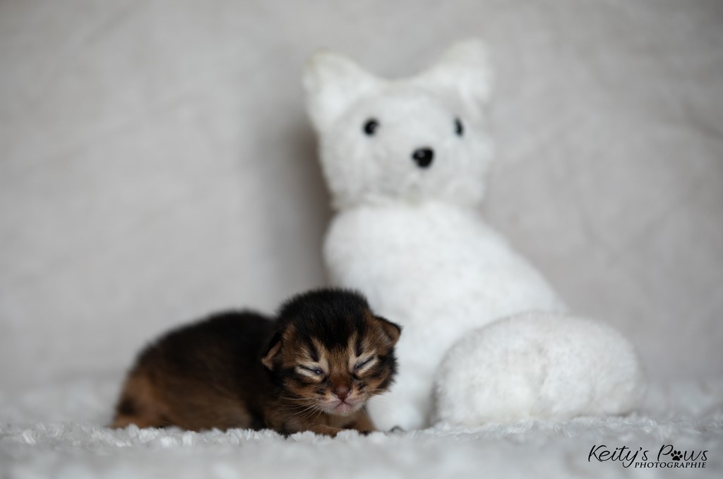 WhisperWind 1 Semaine