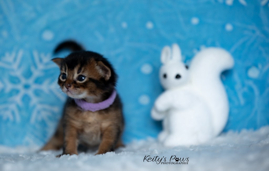 WhisperWind  2 Semaines