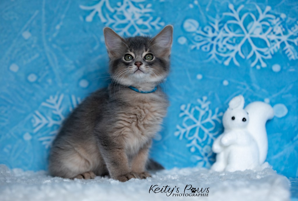 Underwter Sirius 1 Mois