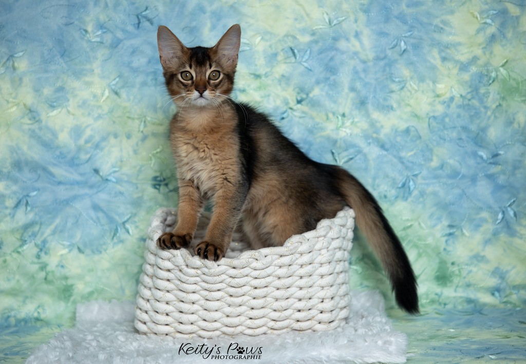  Altaïs Wano  3 Mois