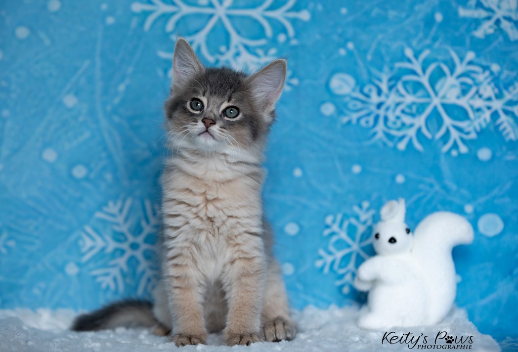 Underwter   Ubi   1 Mois