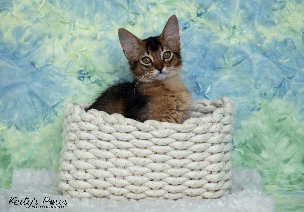  Altaïs Wano  3 Mois