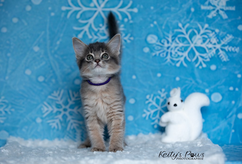 Underwter Sori   1 Mois