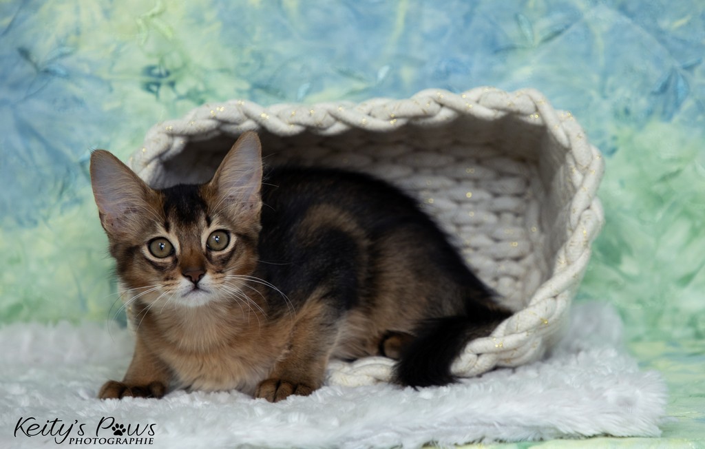  Altaïs Wano  3 Mois