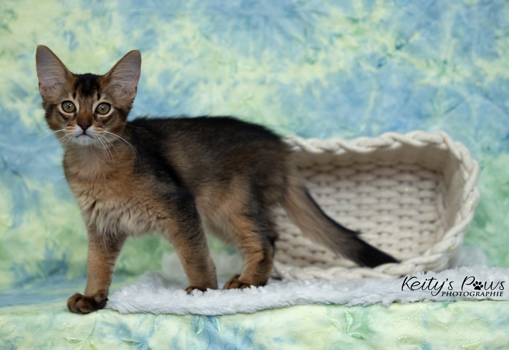  Altaïs Wano  3 Mois