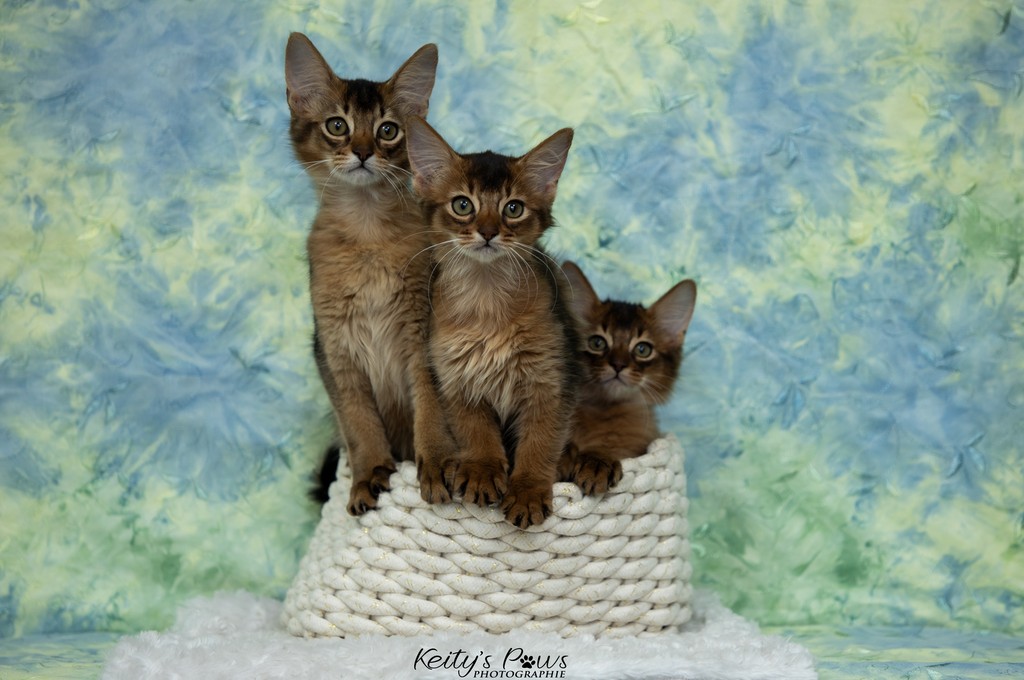 Alya Altaïs Ankãa  3 Mois