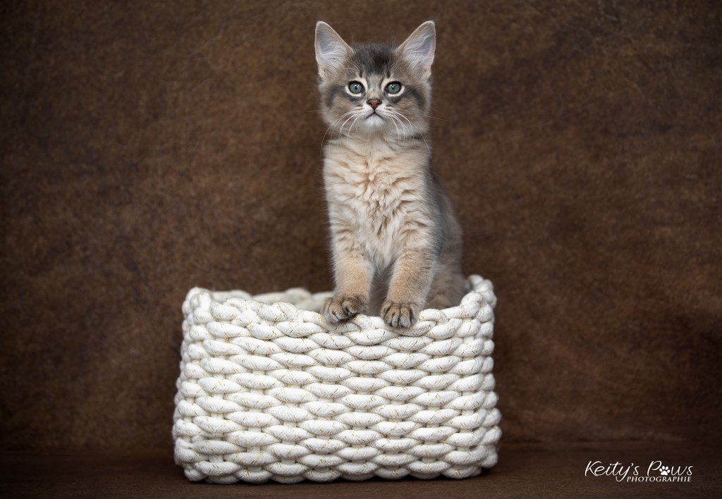 Underwater Ubi  2 Mois