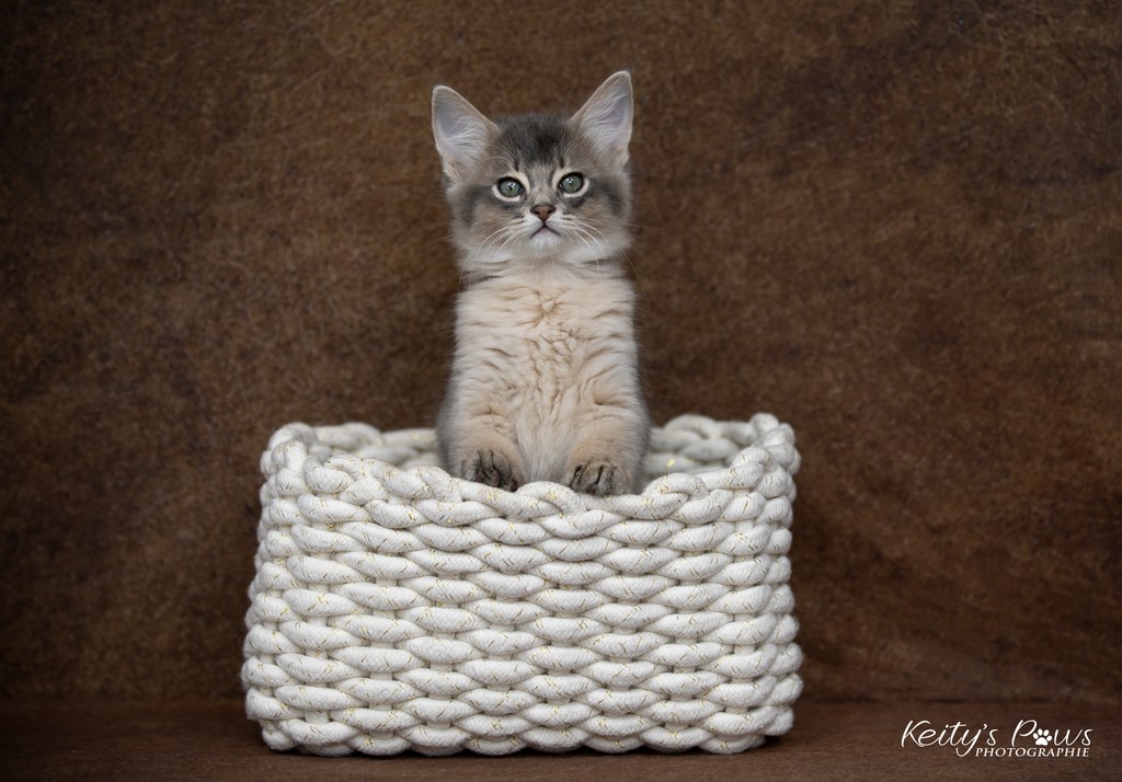 Underwater Ubi  2 Mois