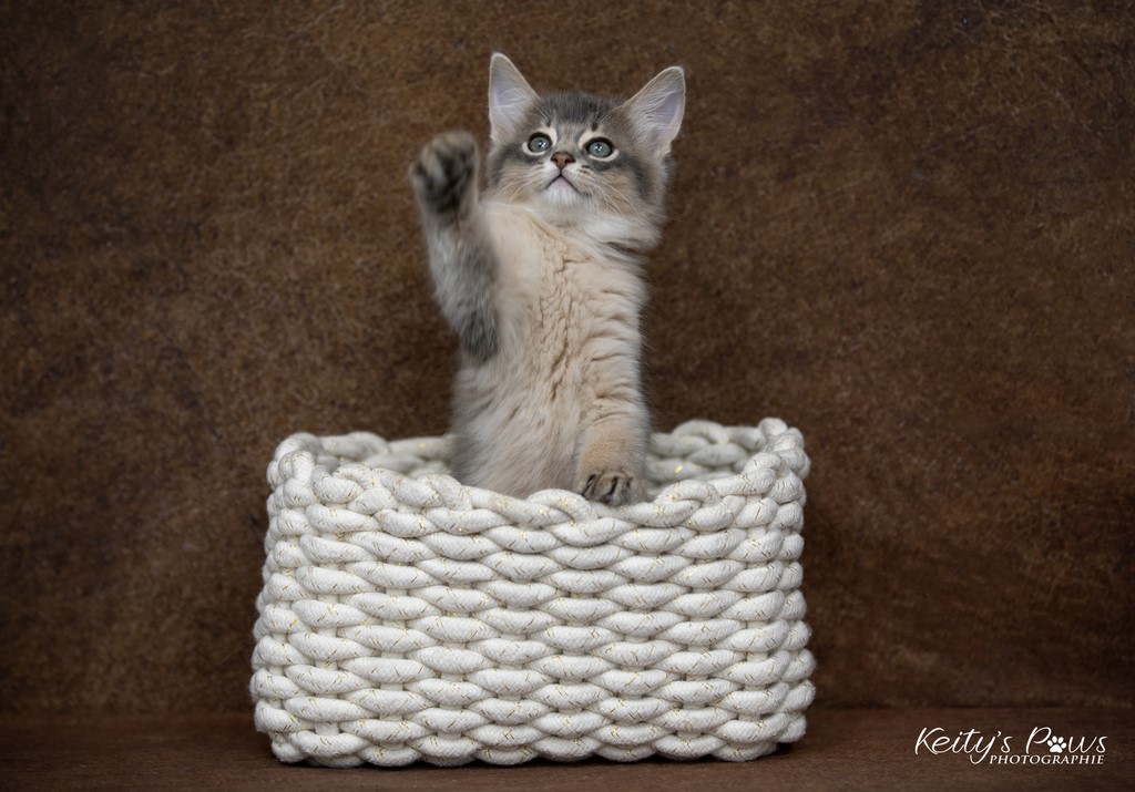 Underwater Ubi  2 Mois