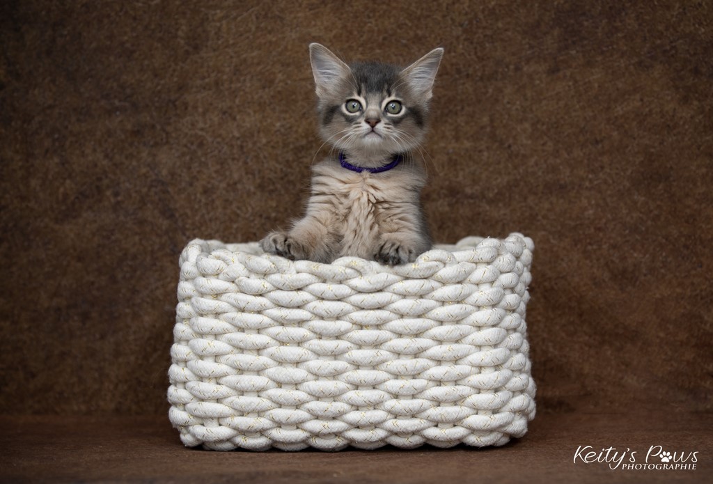 Underwater Sora  2 Mois