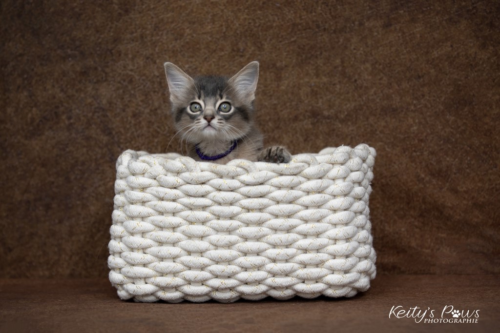 Underwater Sora  2 Mois