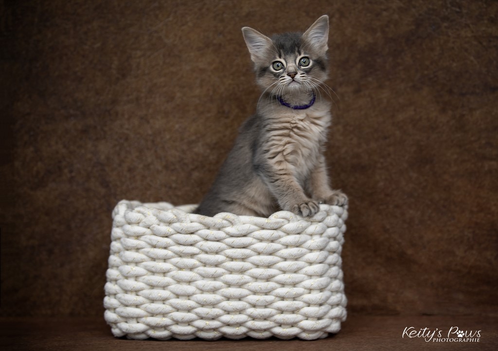 Underwater Sora  2 Mois