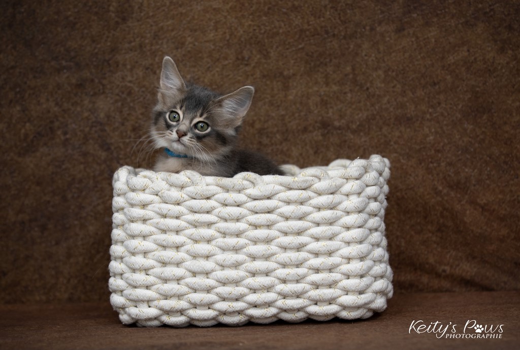 Underwater Sirius  2 Mois