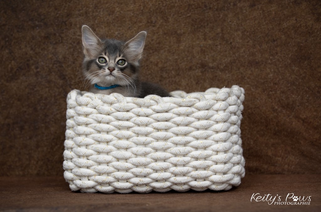 Underwater Sirius  2 Mois