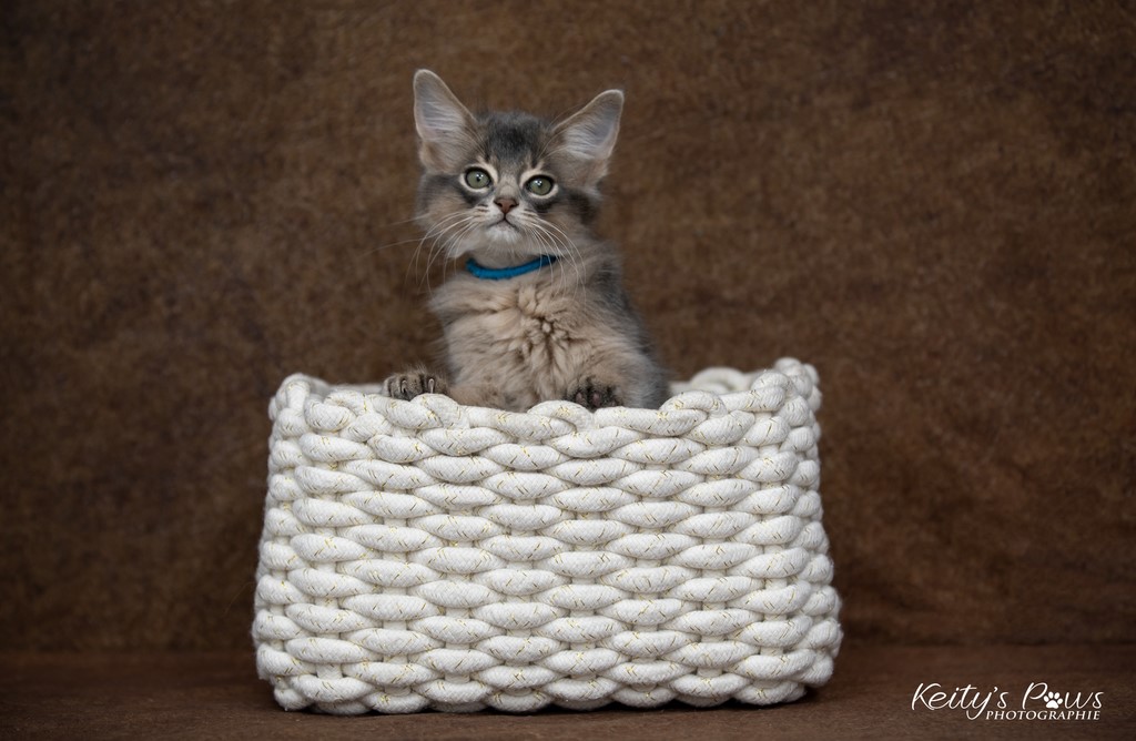 Underwater Sirius  2 Mois