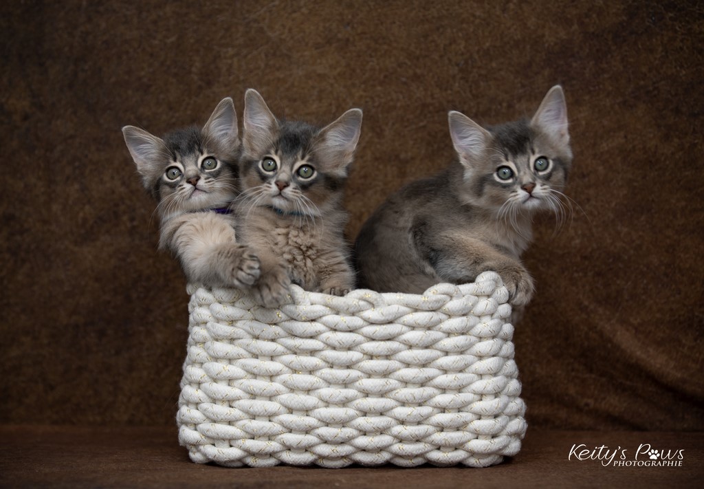 Underwater Sora Sirius Ubi 2 Mois