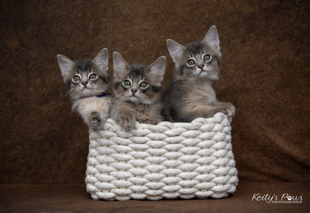 Underwater Sora Sirius Ubi 2 Mois