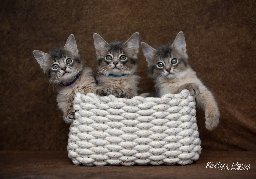 Underwater Sora Sirius Ubi 2 Mois