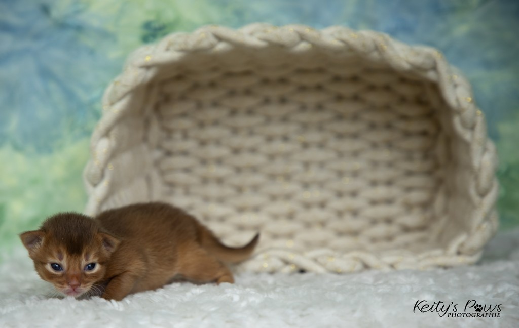 After Eight 2 Semaines