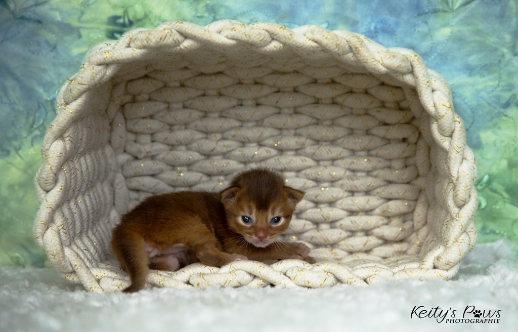 After Eight 2 Semaines