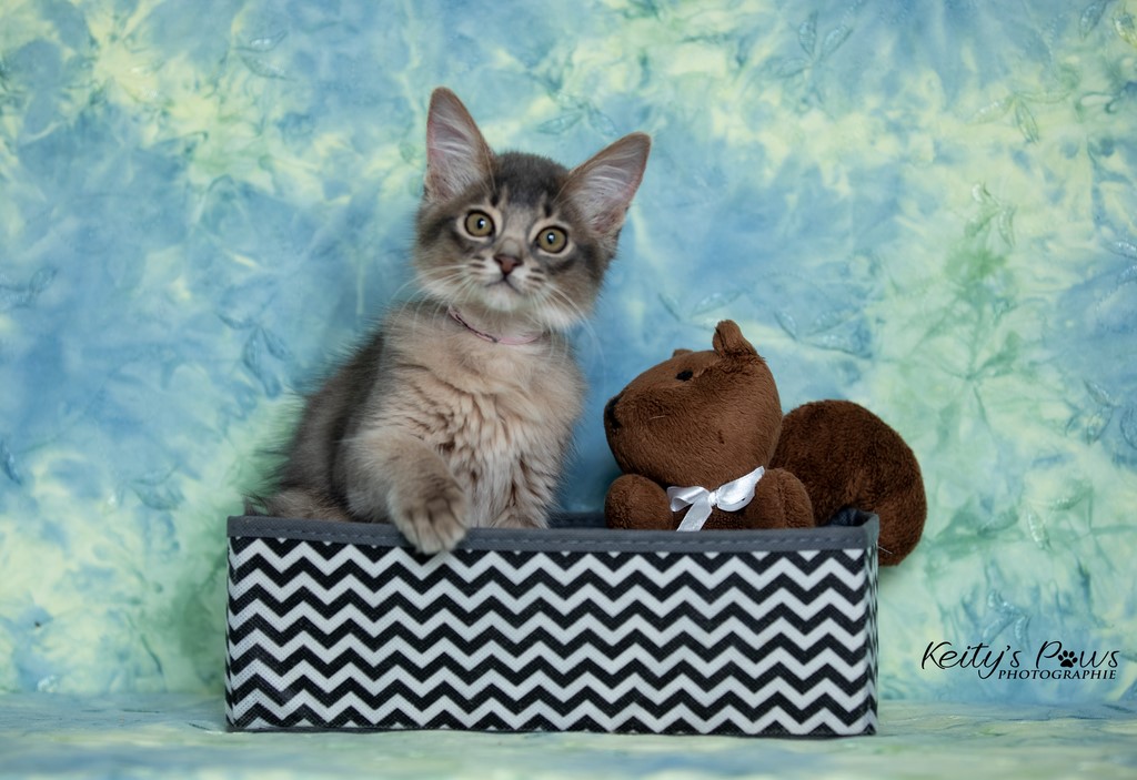 Underwater Sora 2 Mois