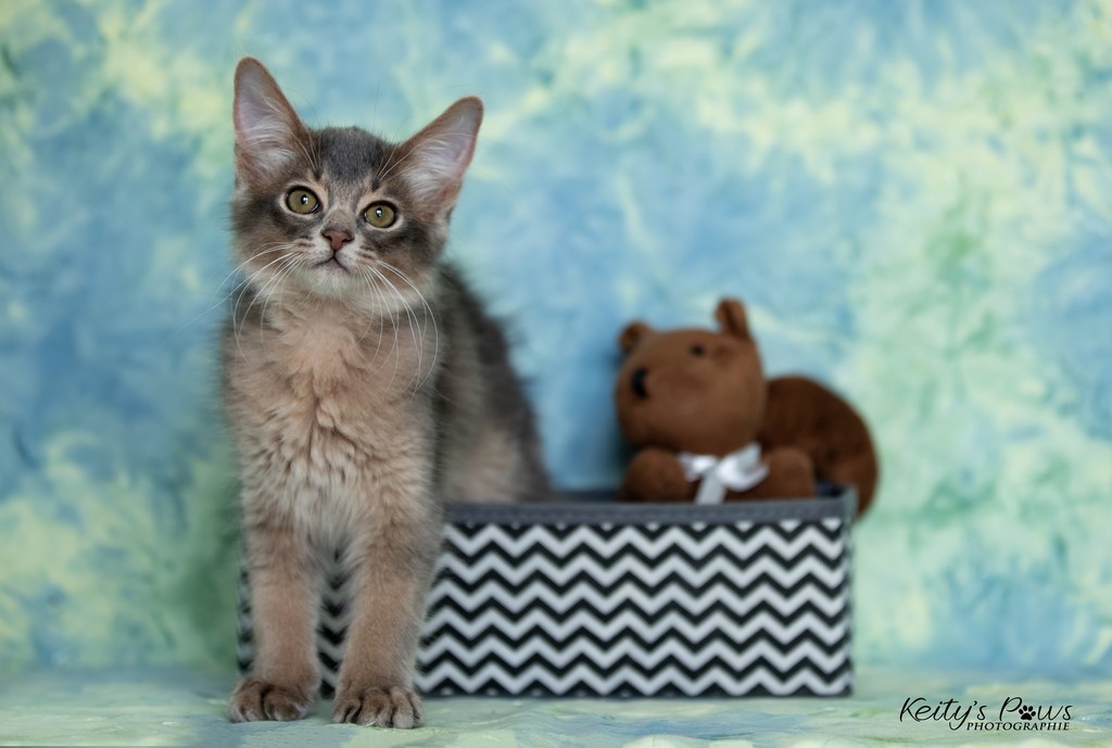 Underwater Sirius  2 Mois