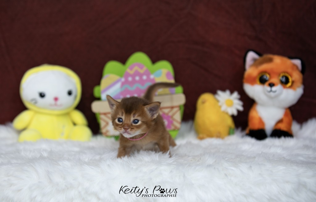 After Eight 3 Semaines