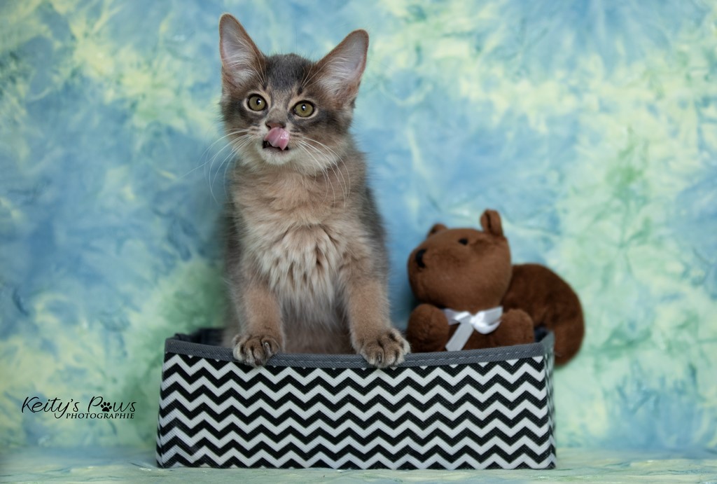 Underwater Sirius  2 Mois